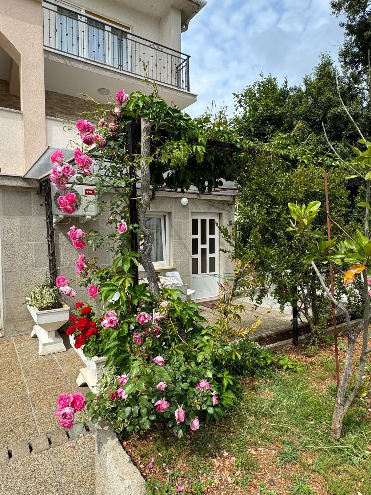 Appartement Dida *